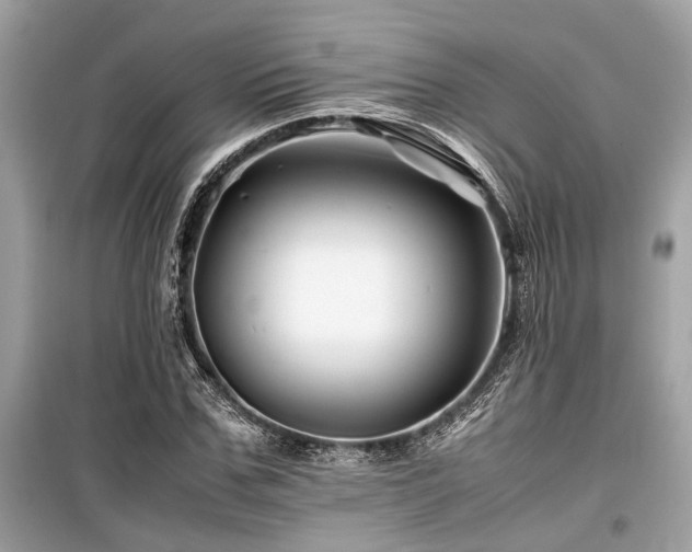 X0000099570971200805161513