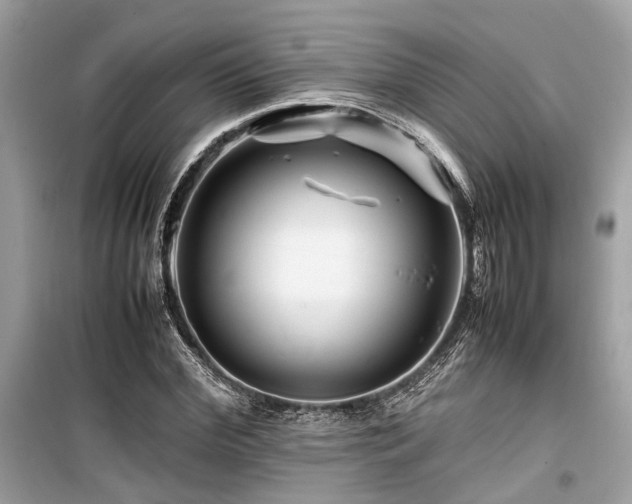 X0000099570972200805161513