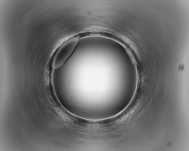 X0000099570973200805161513