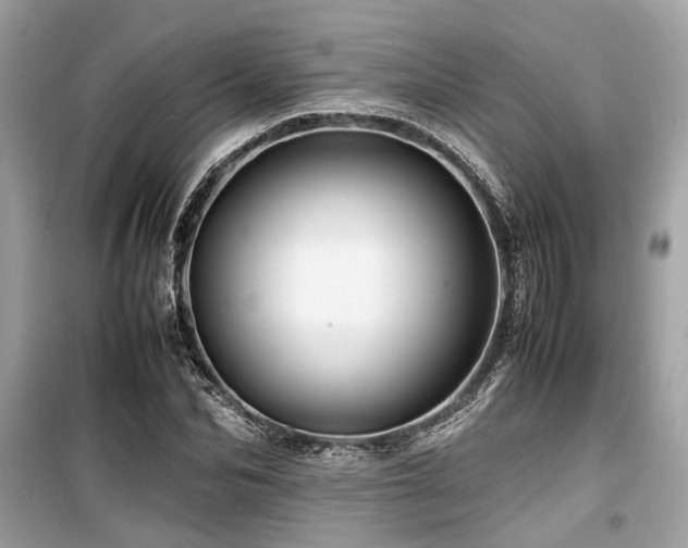 X0000099570974200805161513