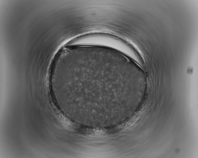 X0000099570975200805161513