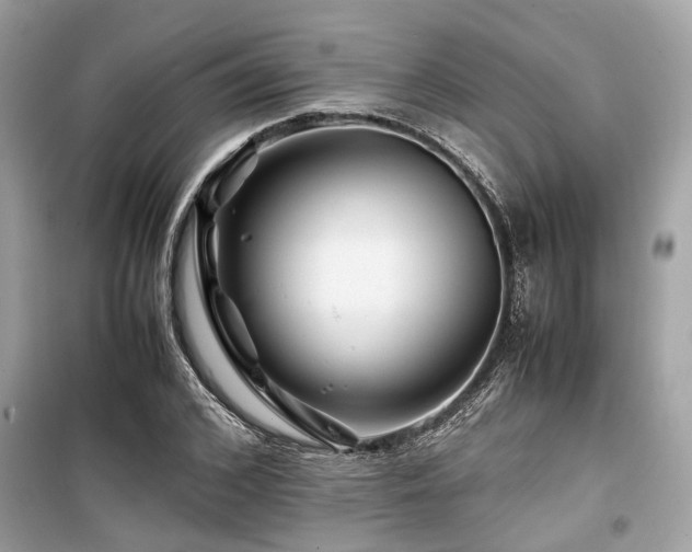 X0000099570976200805161513