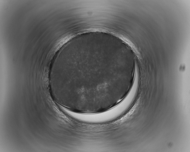 X0000099570977200805161513