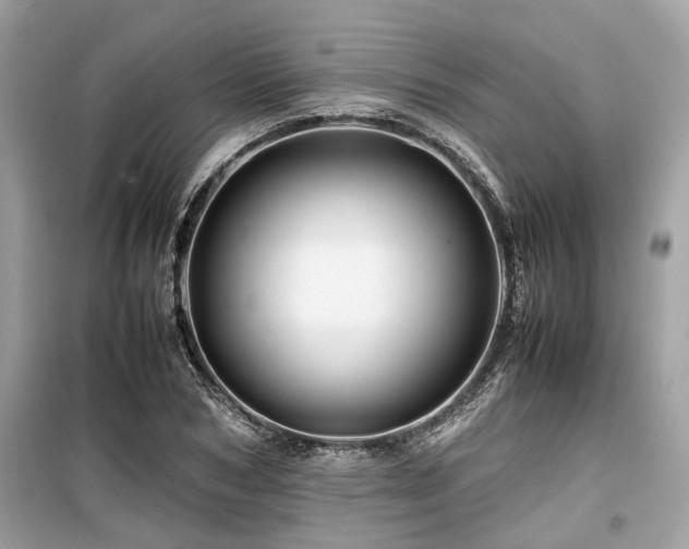 X0000099570978200805161513