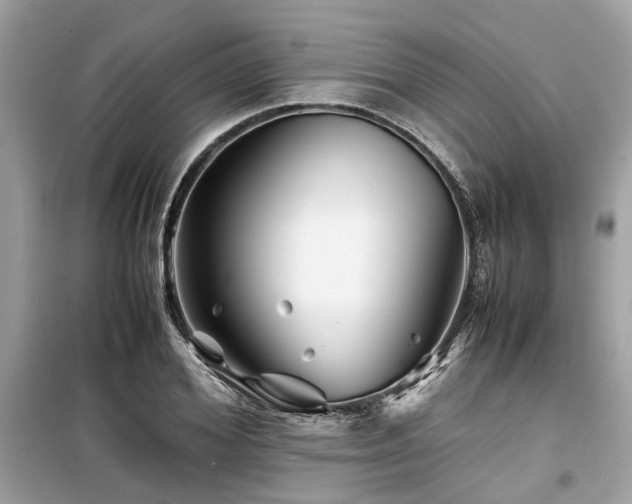 X0000099570980200805161513