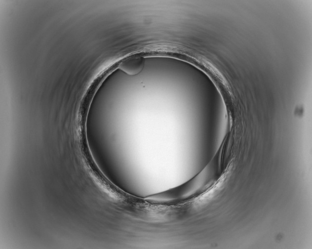 X0000099570981200805161513