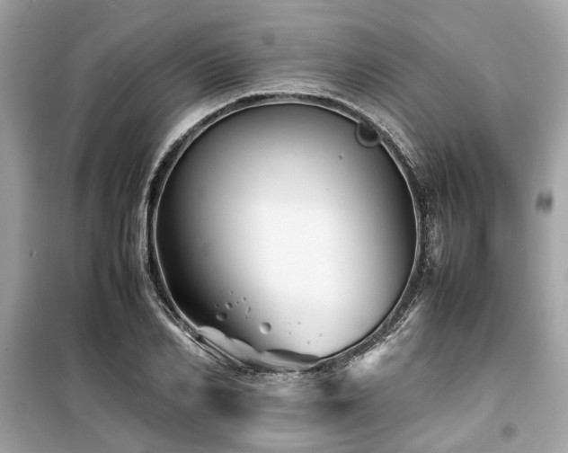 X0000099570982200805161513