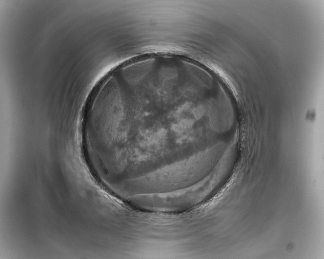 X0000099570983200805161513