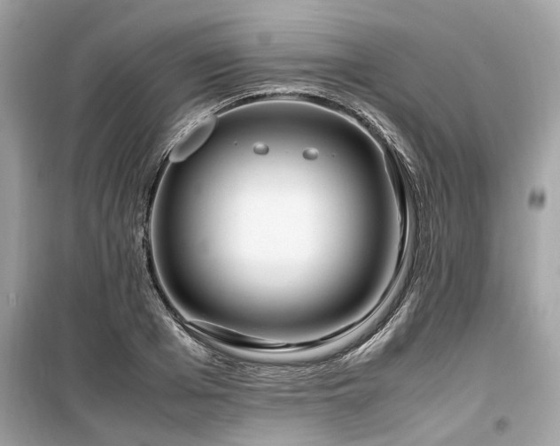 X0000099570985200805161512