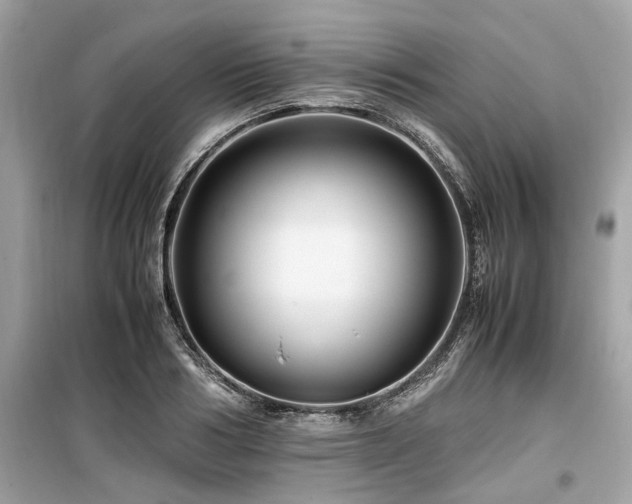 X0000099570986200805161512