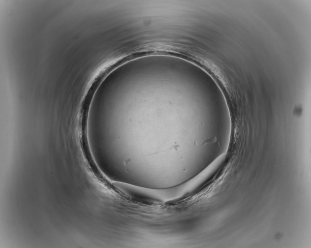 X0000099570987200805161512