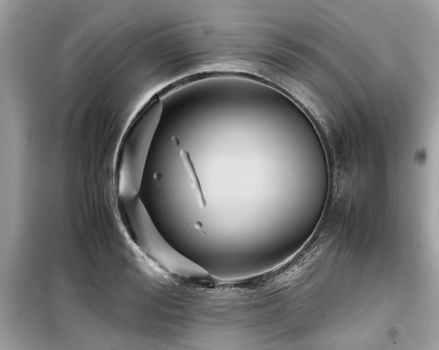 X0000099570988200805161512
