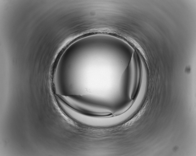 X0000099570989200805161512