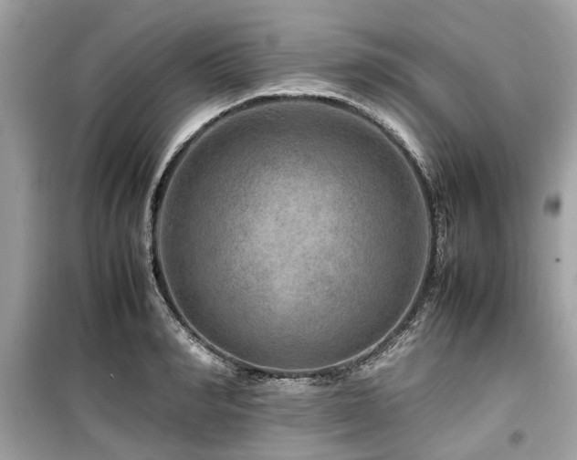 X0000099570990200805161512