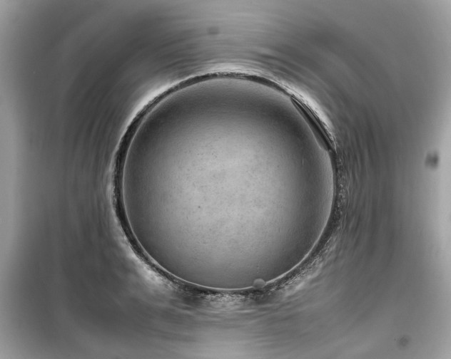 X0000099570991200805161512