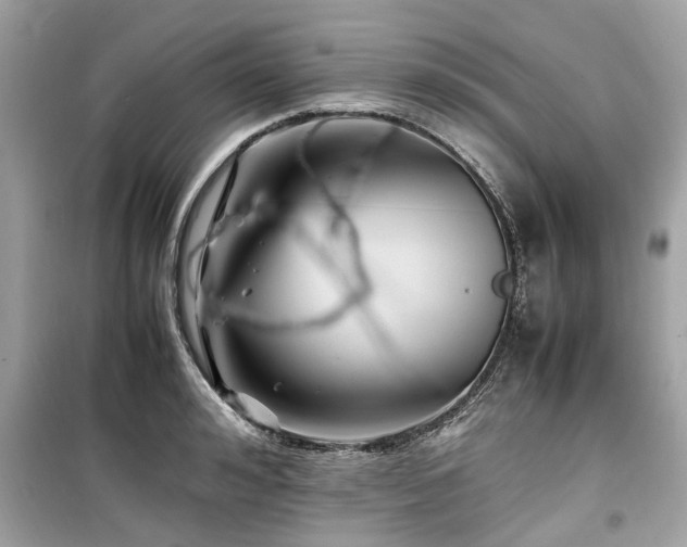 X0000099570992200805161512