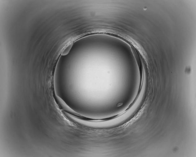 X0000099570993200805161512