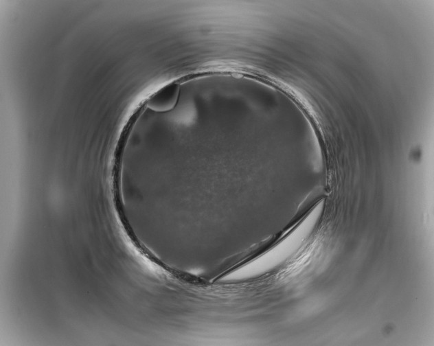 X0000099570995200805161512
