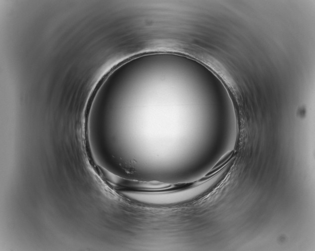 X0000099570996200805161512
