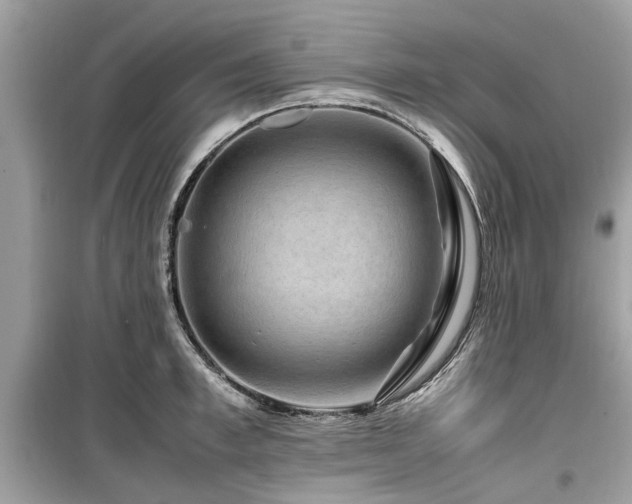 X0000099570997200805161512