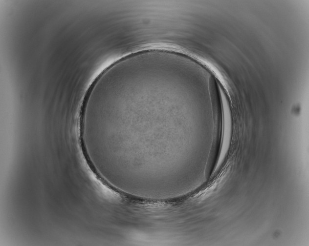 X0000099570999200805161512