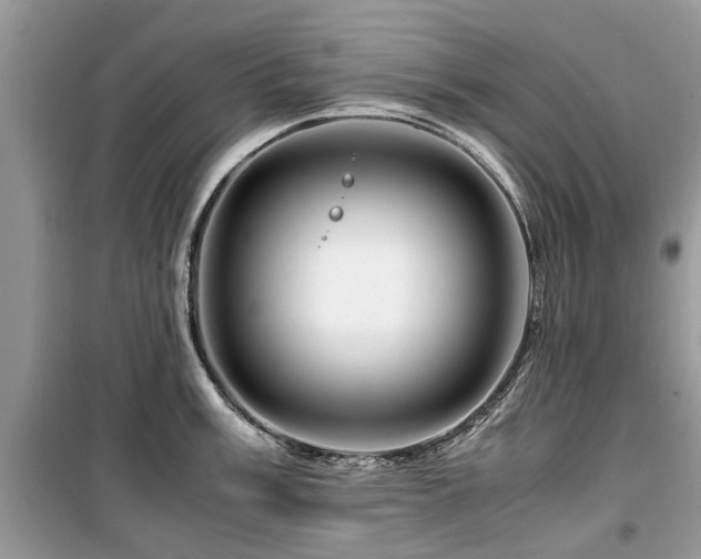 X0000099571003200805161512