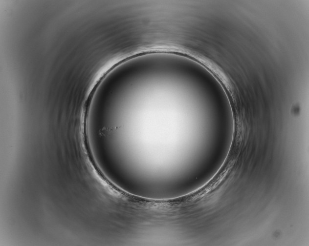 X0000099571006200805161512