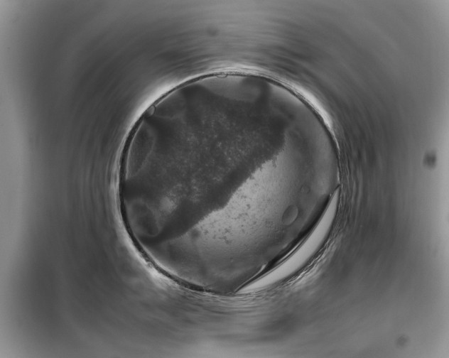 X0000099571007200805161512