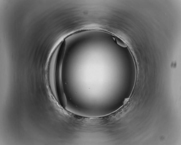 X0000099571008200805161512