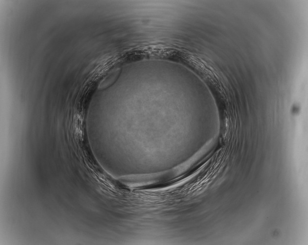 X0000099571010200805161511