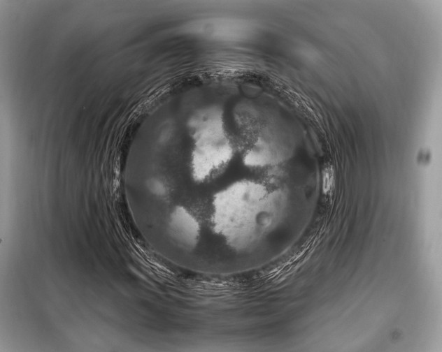 X0000099571011200805161511
