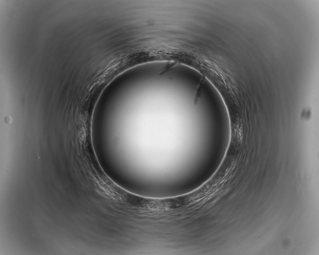 X0000099571012200805161511