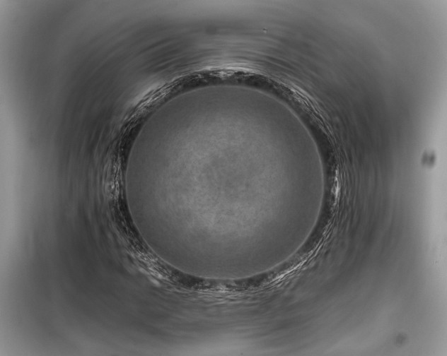 X0000099571014200805161511
