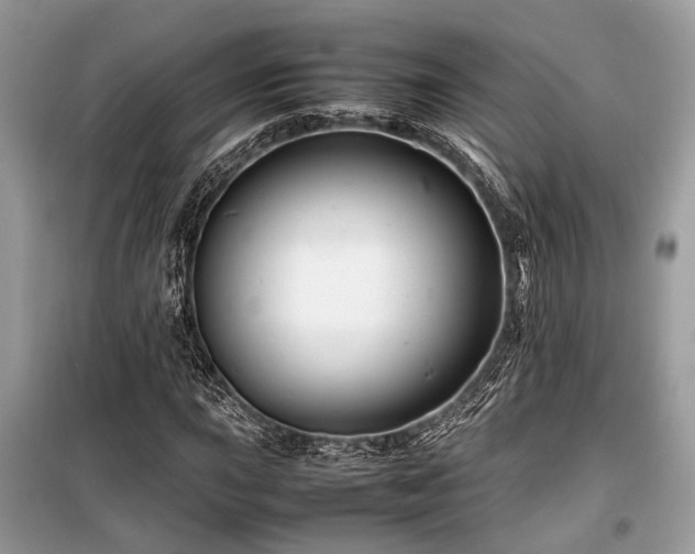X0000099571015200805161511