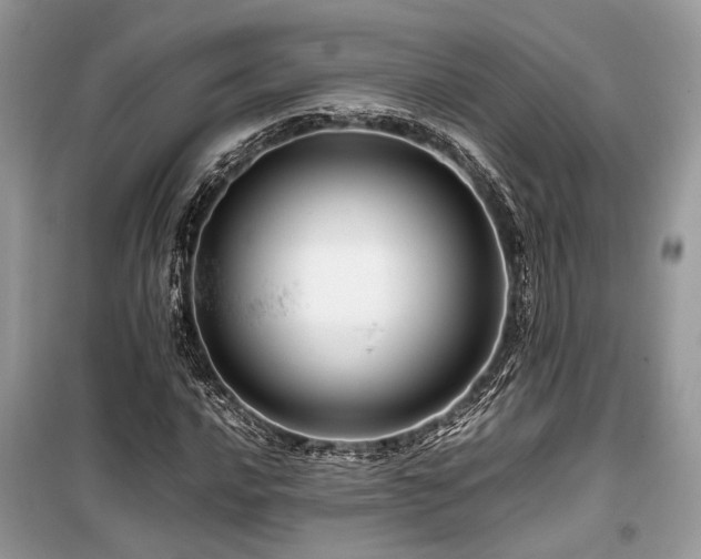 X0000099571016200805161511