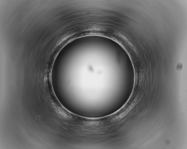 X0000099571017200805161511
