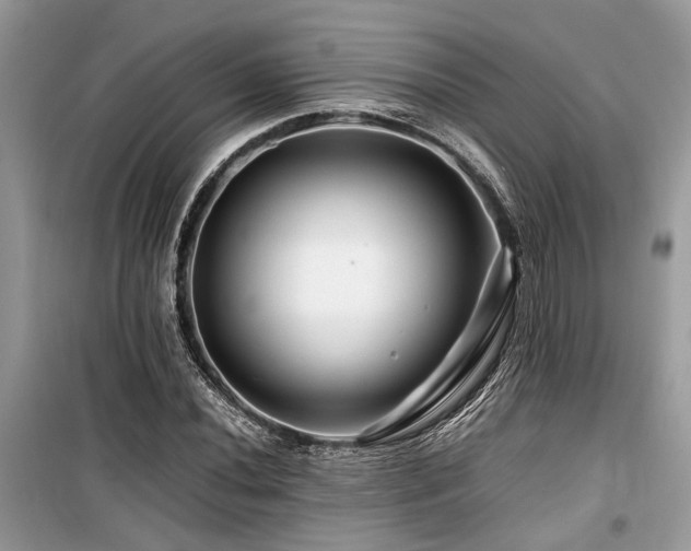 X0000099571020200805161512