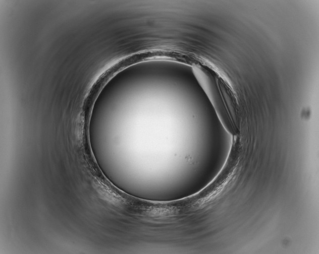 X0000099571021200805161512