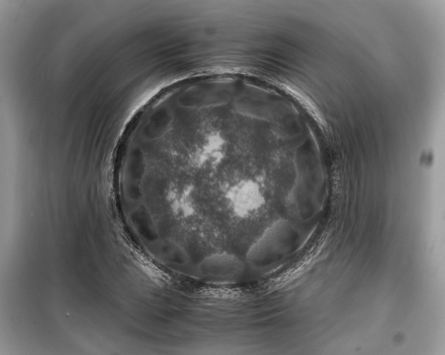 X0000099571023200805161512