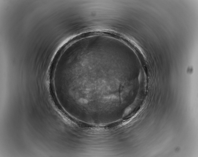 X0000099571024200805161512
