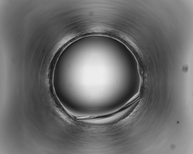 X0000099571026200805161512
