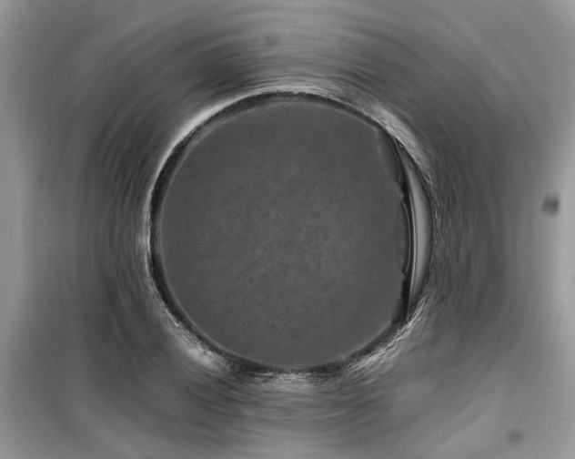 X0000099571028200805161512