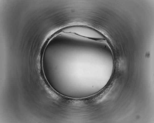 X0000099571030200805161512