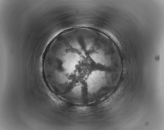 X0000099571031200805161512