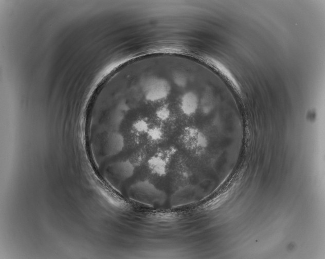 X0000099571035200805161512