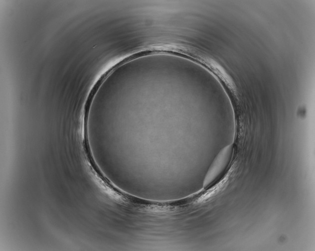 X0000099571036200805161512