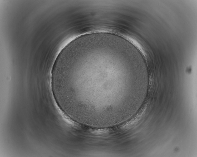 X0000099571047200805161512