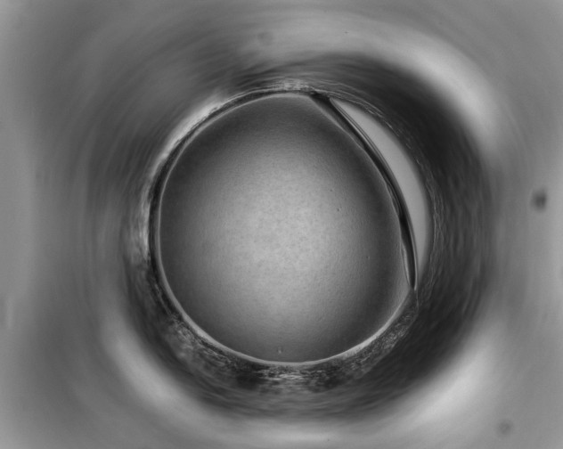 X0000099571054200805161512