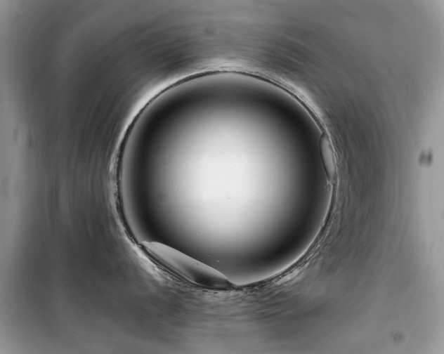 X0000099571056200805161512