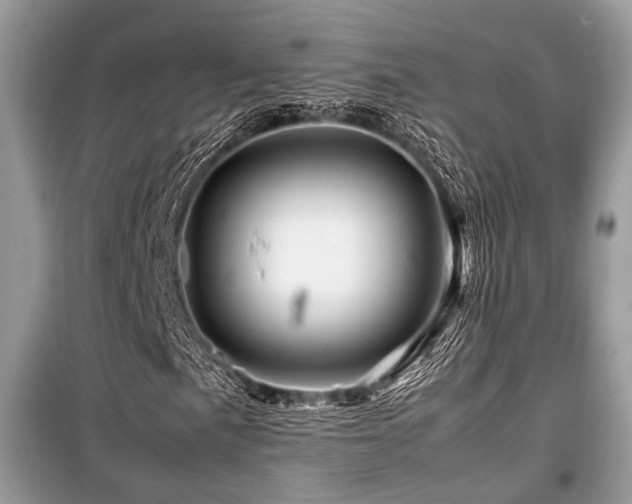 X0000099571057200805161511